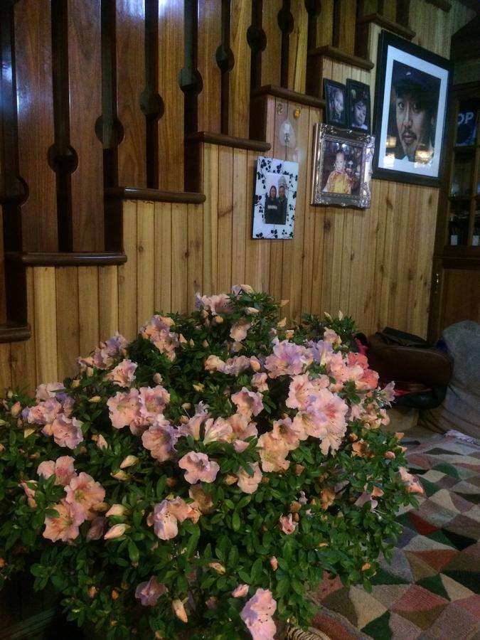 Ngawang Homestay ダージリン エクステリア 写真